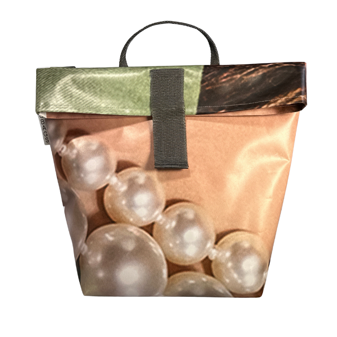 Bikebag