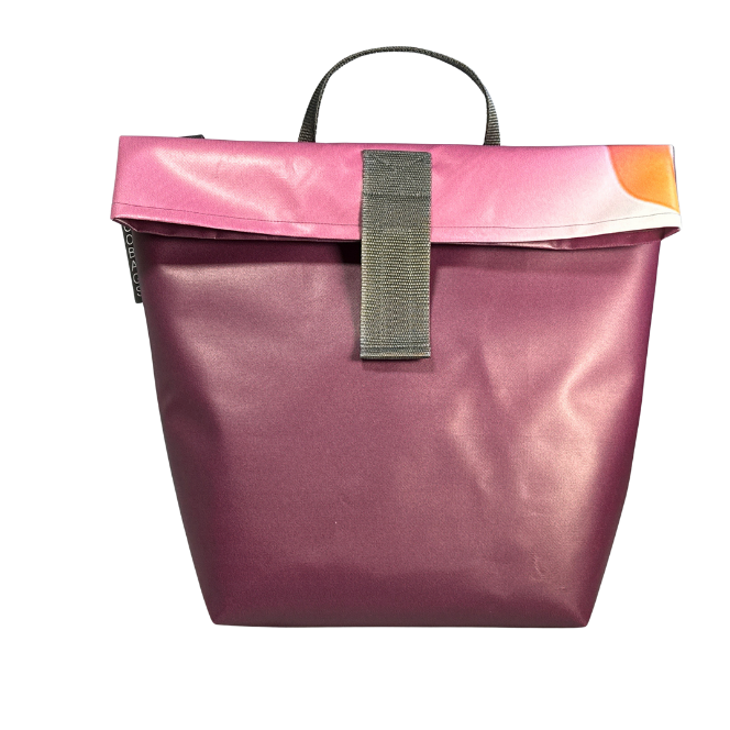 Bikebag
