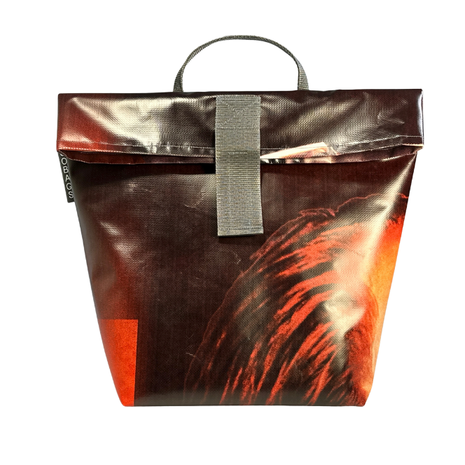Bikebag